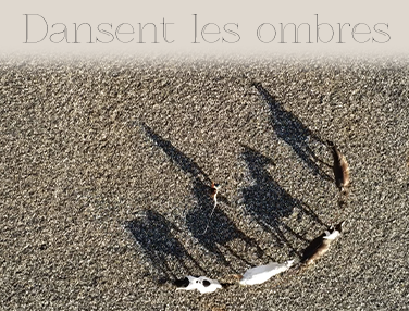 Lorelei Laessle - Dansent les ombres